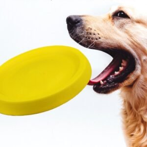 Pet Dogs Throwing Plastic Toys